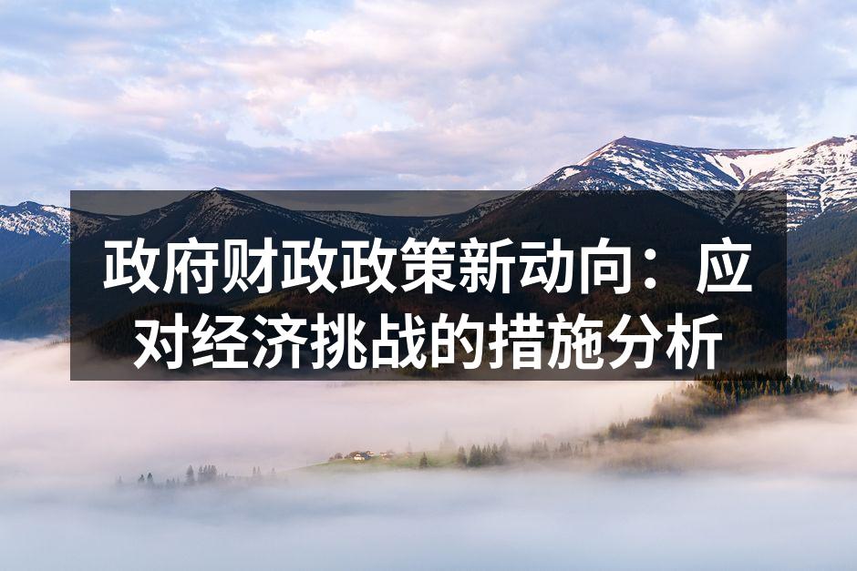 政府财政政策新动向：应对经济挑战的措施分析
