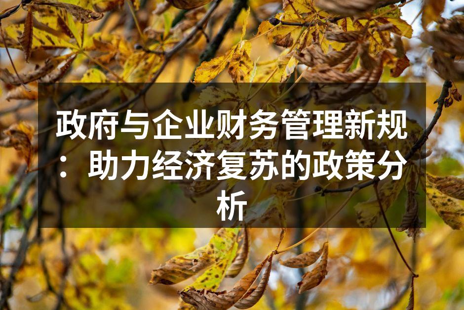 政府与企业财务管理新规：助力经济复苏的政策分析
