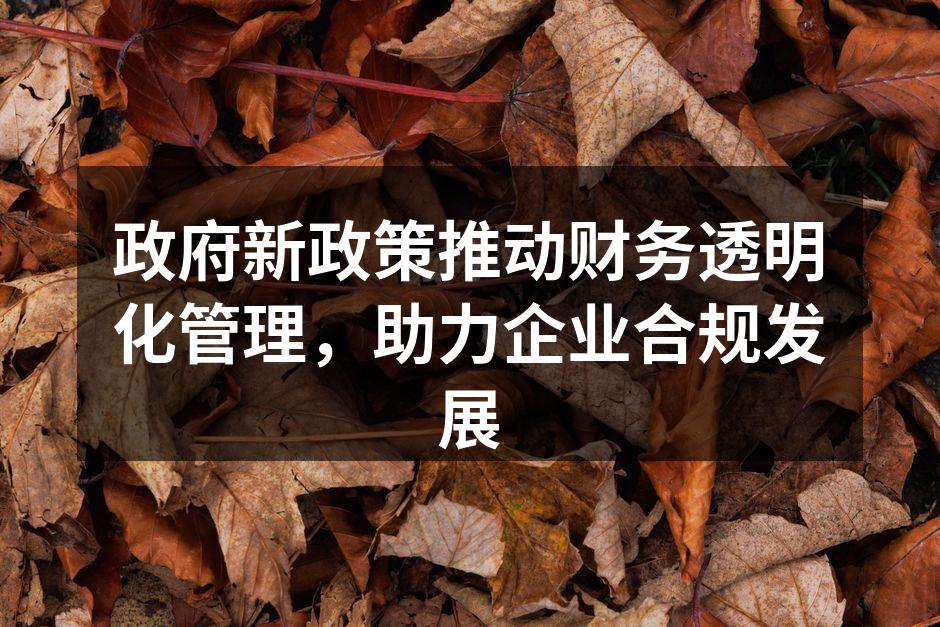 新政策发布会现场