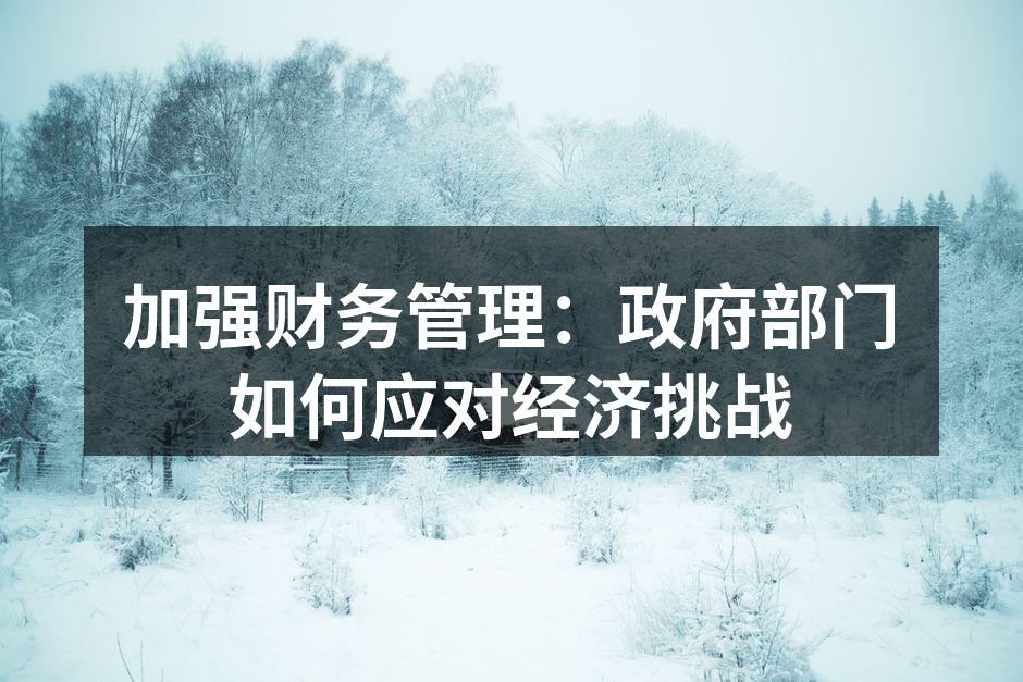 政府部门的财务管理实操